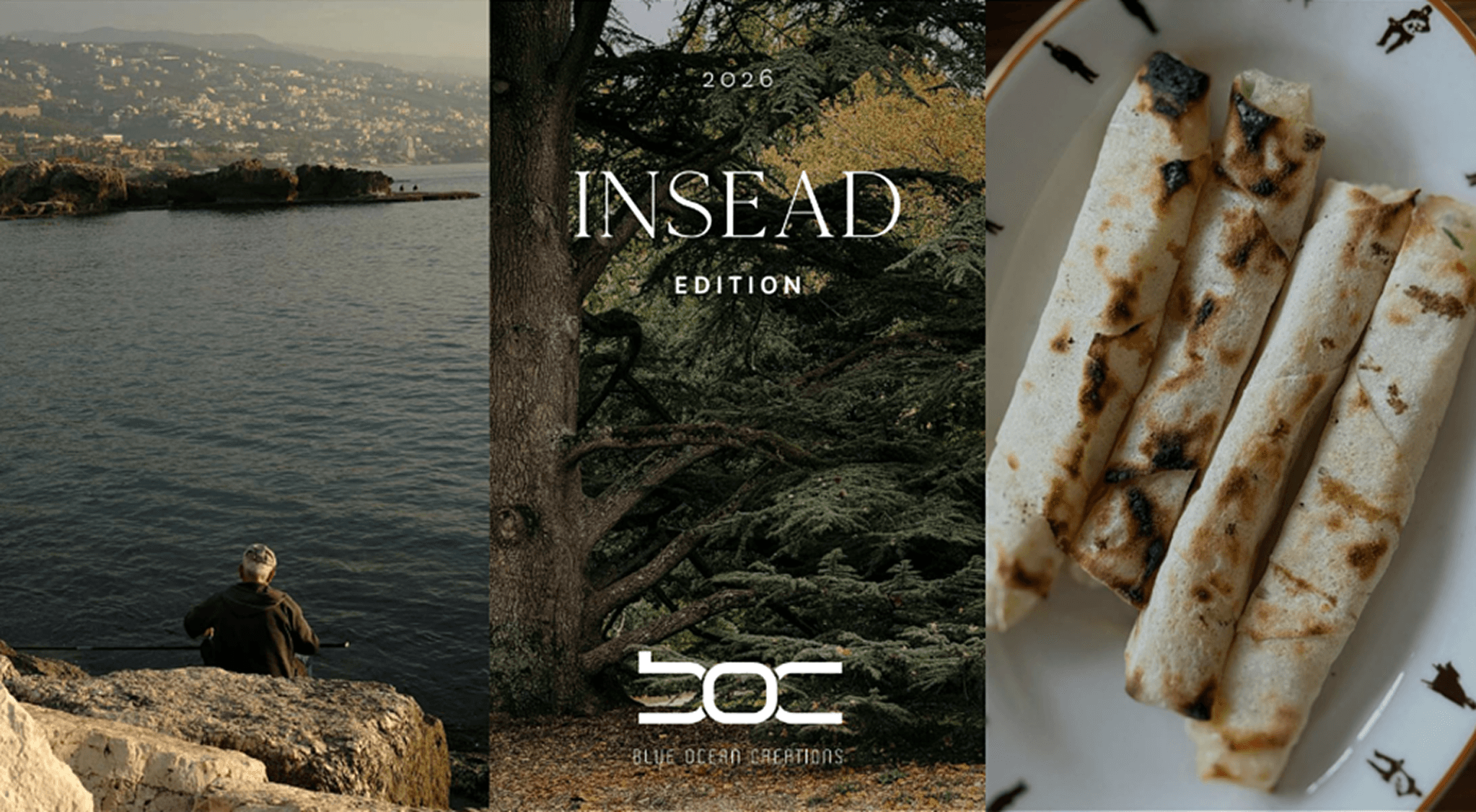 BOC x INSEAD - Lebanon Trip July 2026